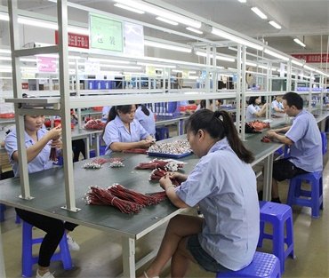 USB Cable Production Line Workers